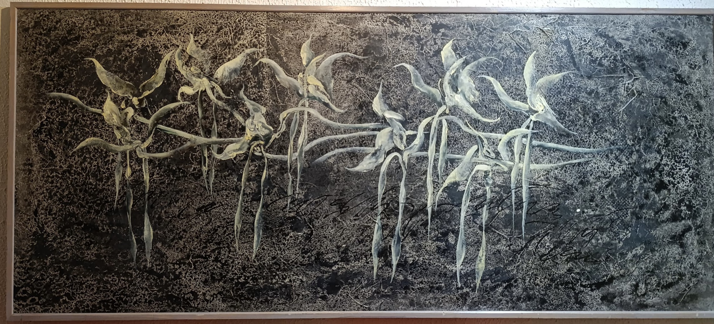 Orquidias en negro por Guillermo Conte