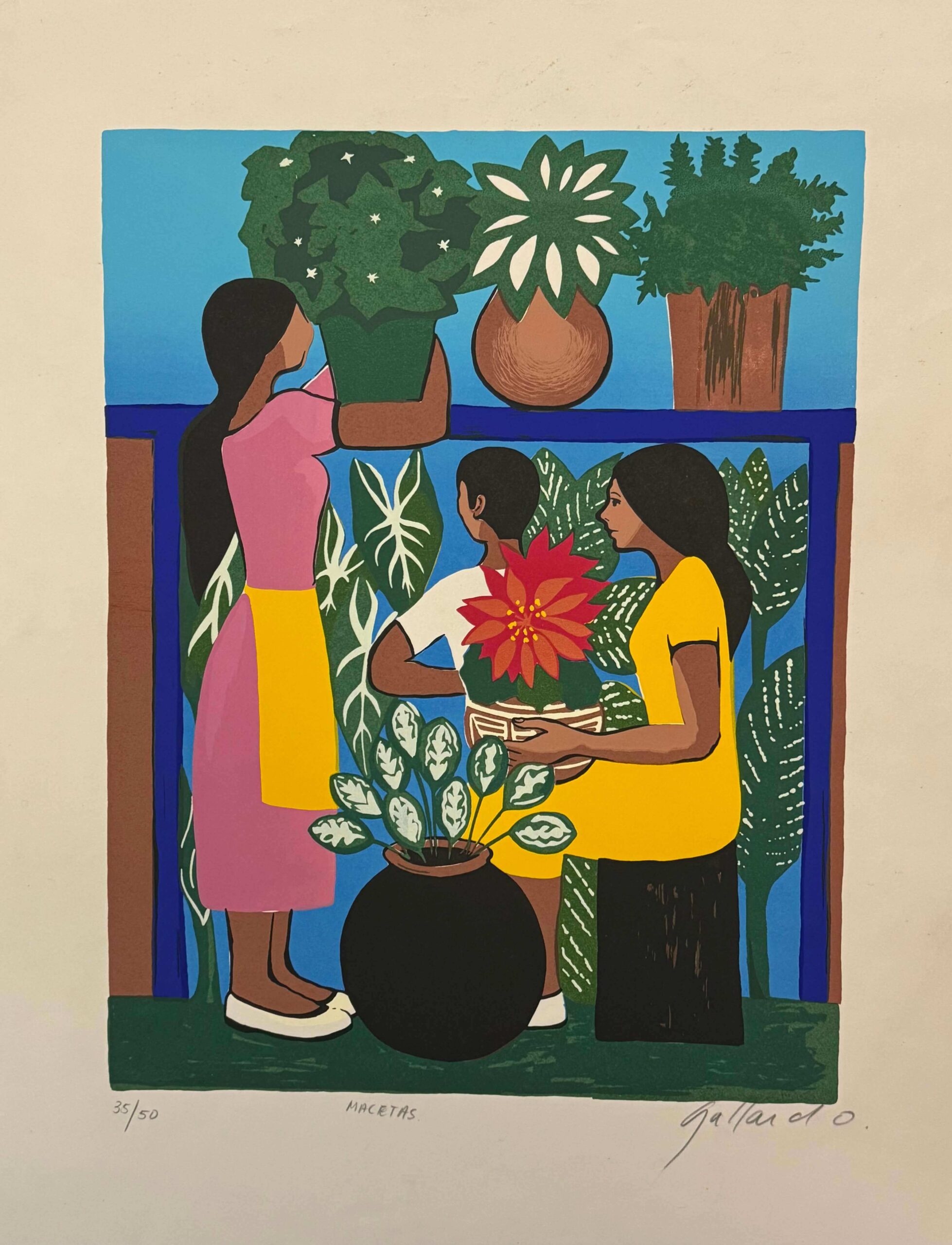 Macetas por Jorge Gallardo